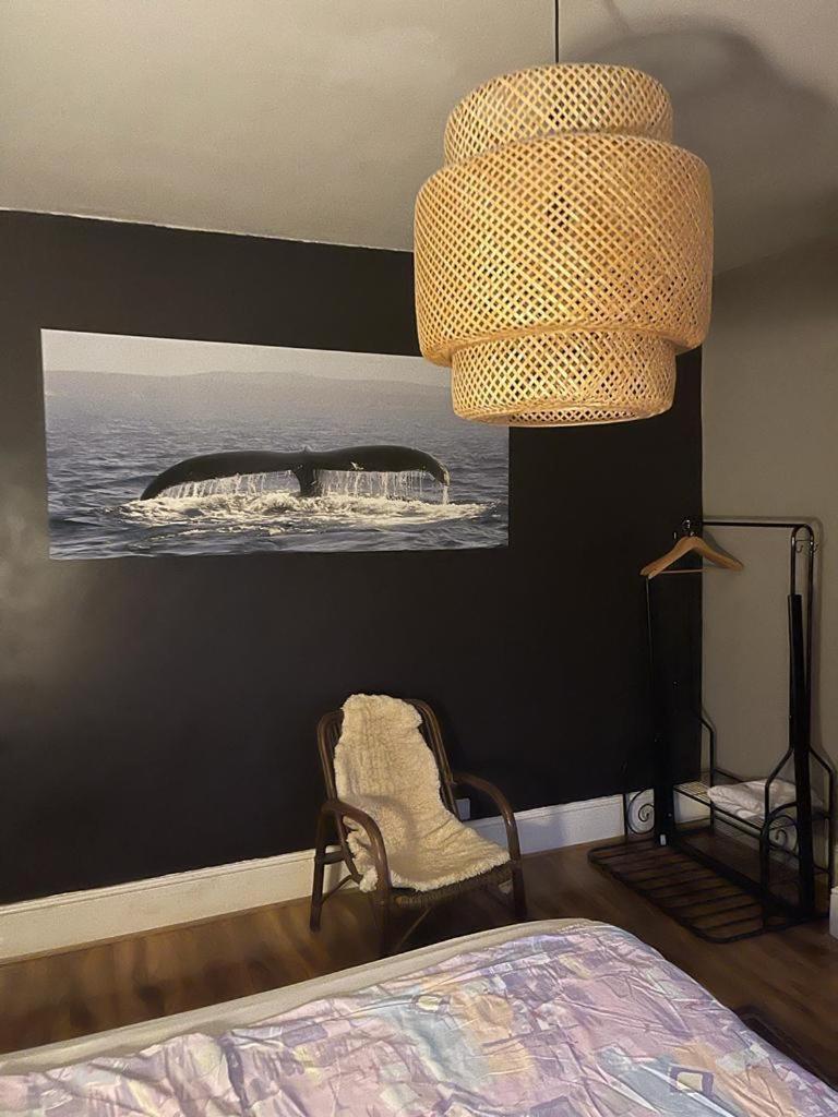 Large Double Room Next To Elisabeth Line Abbey Wood Exterior photo